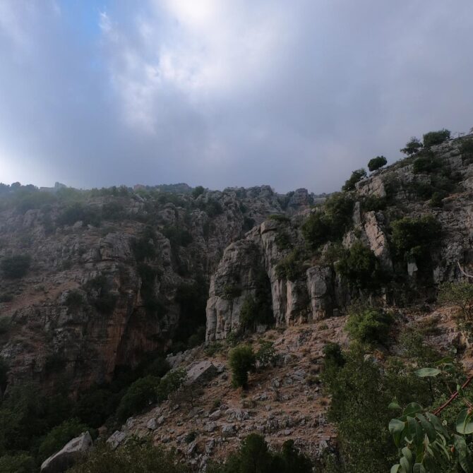 Bakich 3