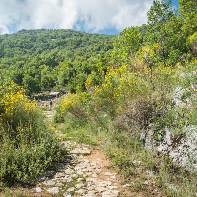 My parents were insisting on a worthwhile hike, so I took them to Jabal Moussa, just 30 minutes away from Jeita Grotto.
